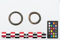 Foto von Bronzering (NHMW-PRAE-025287)